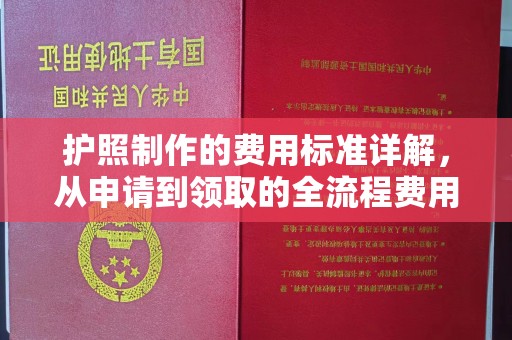 永兴护照制作的费用标准详解，从申请到领取的全流程费用指南